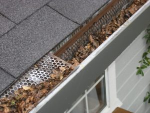 gutter with leaves