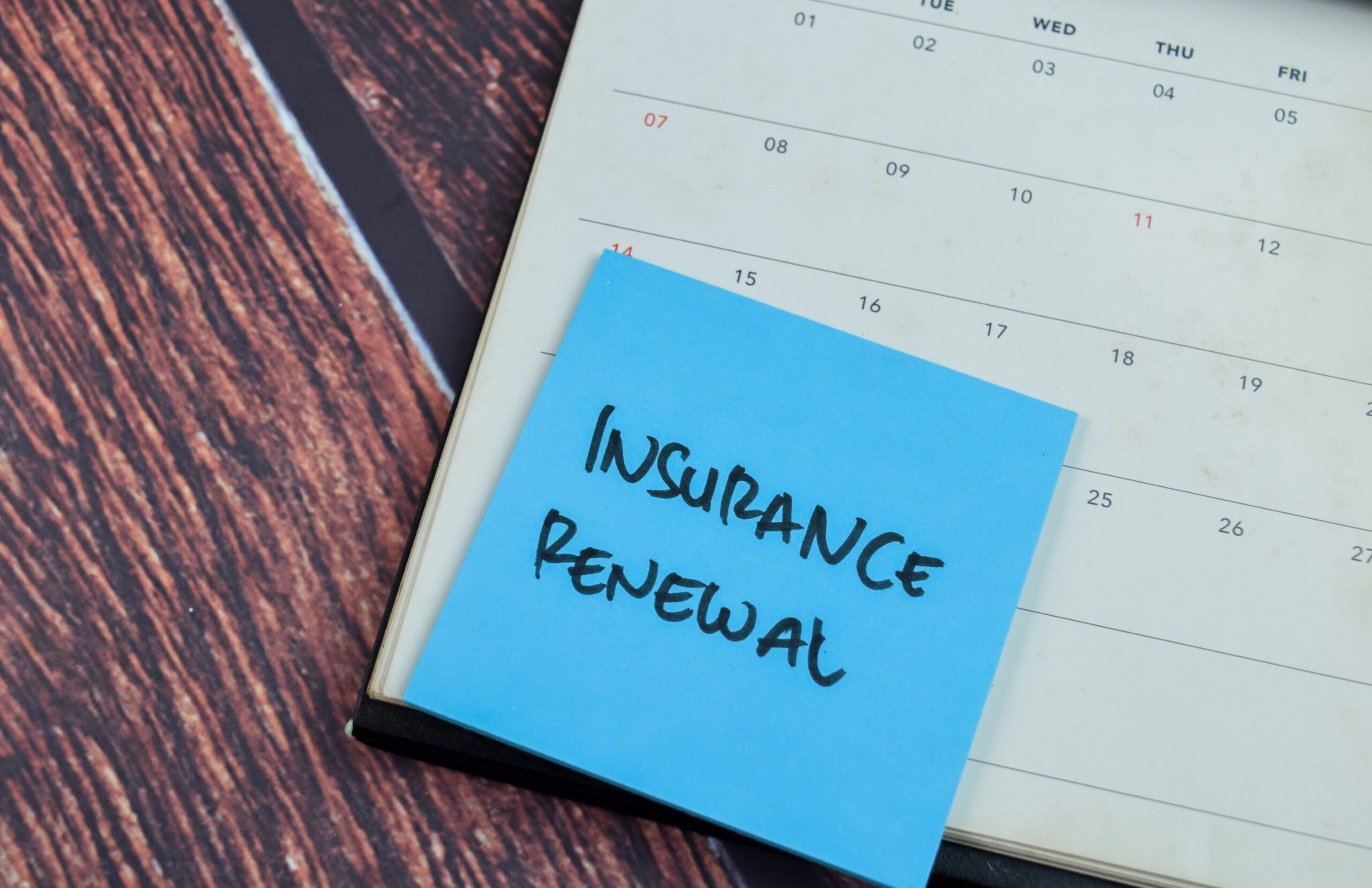 business insurance renewal